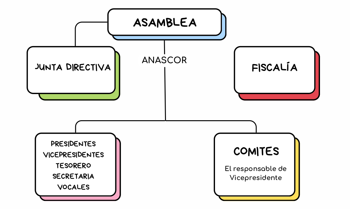 Organigrama de la estructura administrativa de ANASCOR